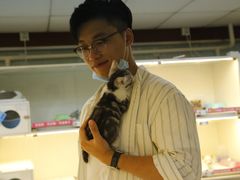 -lincat·猫舍(广州店)