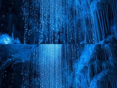 -怀托摩萤火虫洞