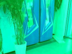 -西域美食(西直门南小街店)