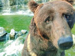 -北京野生动物园