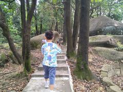 -火炉山森林公园