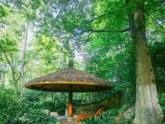 -天目湖御水温泉·度假酒店