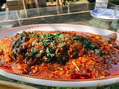 藿香豆瓣鱼-青城甲(青城山店)