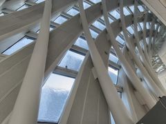 -凤凰中心