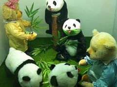 -成都泰迪熊博物馆