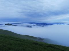 -小姨家常菜(昭萍东路店)