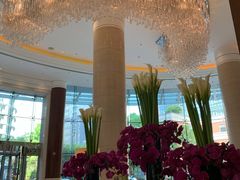 -上海雅居乐万豪侯爵酒店