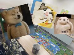 -月星环球港赢在起点早教中心·亲子托班早教体验课儿童兴趣班逻辑思维专注力幼小衔接(普陀中心)