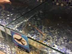 -三亚湾红树林度假酒店美食街