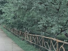 -秀丽东方