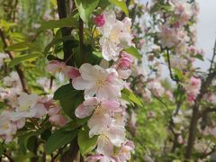 -元大都城垣遗址公园