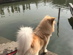 -福满楼(锦溪古镇店)