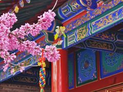 -西安市广仁寺