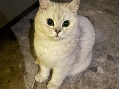-温州博物馆