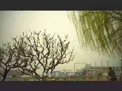 -湖南东洞庭湖国家级自然保护区