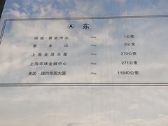 -紫峰大厦