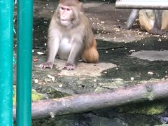 -罗田天堂寨风景区