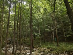 -牛背梁国家森林公园