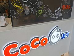 -CoCo都可(骆家庄新店)
