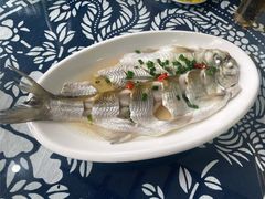 太湖白鱼-太湖好灶头土菜馆(石公路店)