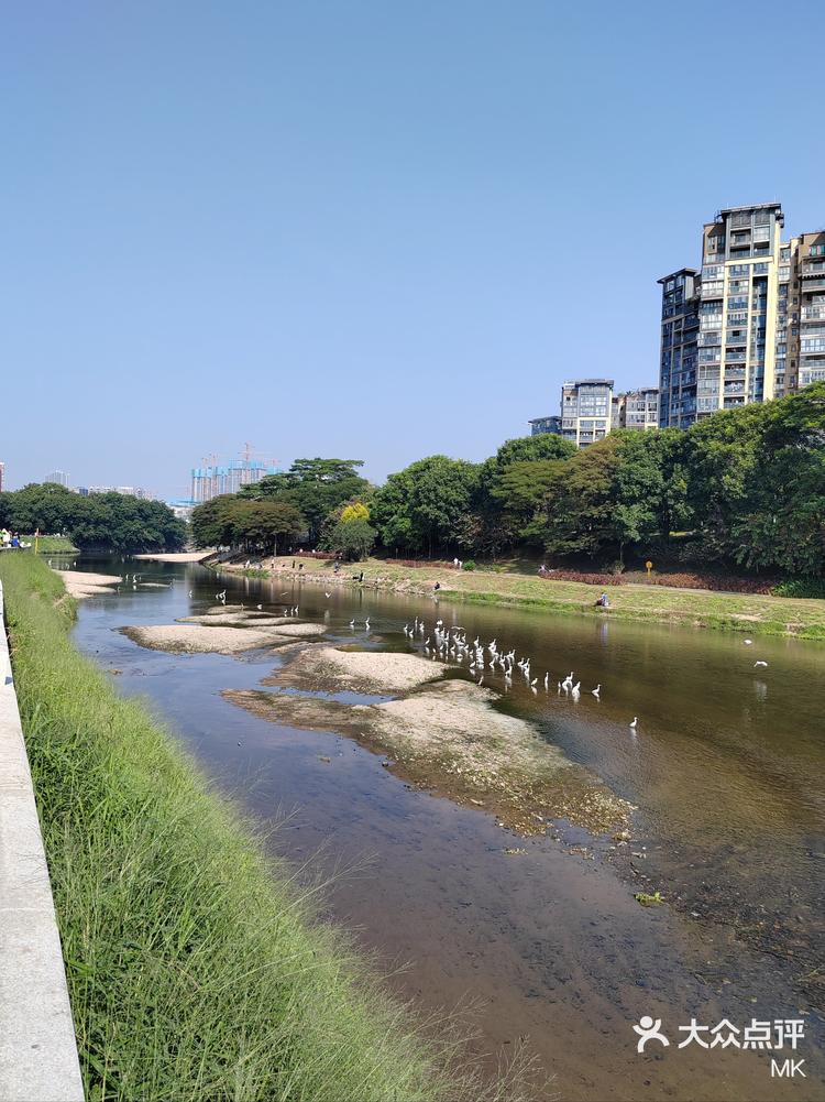 观澜河湿地公园图片