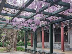 -北京市劳动人民文化宫(太庙)