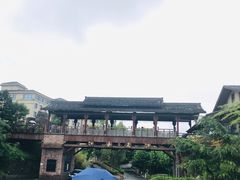 -江南天池