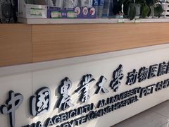 -中国农业大学动物医院