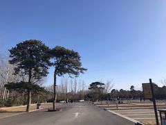 -清西陵