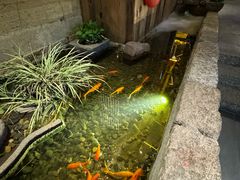 -老李家土菜馆·安吉地标美食