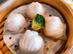 韵轩虾饺皇-广州康莱德·韵轩中餐厅
