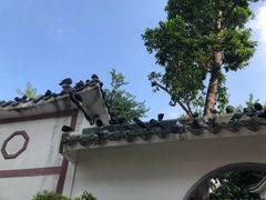 -园圃街雀鸟花园