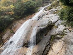 -黎老幺光雾山黄羊汤锅
