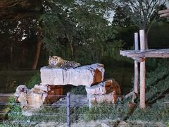 -上海野生动物园