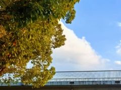 -白鹭湾湿地公园