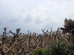 -龙坑生态保护区