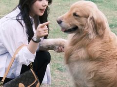 -美联众合动物医院·24h转诊中心