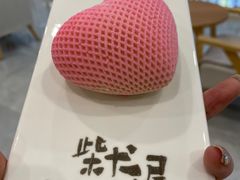 -柴犬小屋·柴餐厅·狗咖食堂(金鼎广场店)