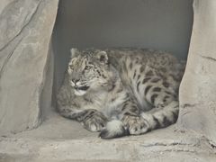 -青藏高原野生动物园