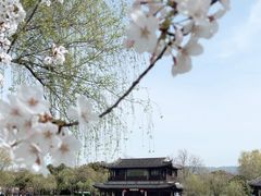 -尚湖风景区