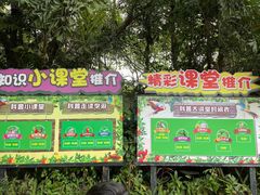 -广州长隆野生动物世界