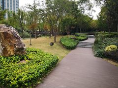 -南翔镇银翔湖公园