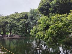 -成都市活水公园