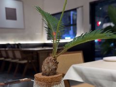 -希屿·Xislands融合餐厅