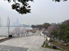 -古琴台