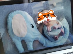 -西瓜庄园儿童摄影