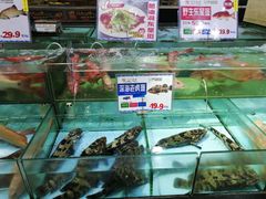 水产区-渔民新村(番禺总店)