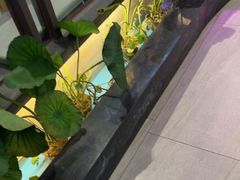 -客家班·客家菜(嘉禾金铂店)