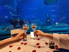 -亚特兰蒂斯•OSSIANO奥西亚诺海底餐厅