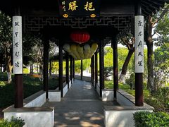 -苏州吴宫泛太平洋酒店